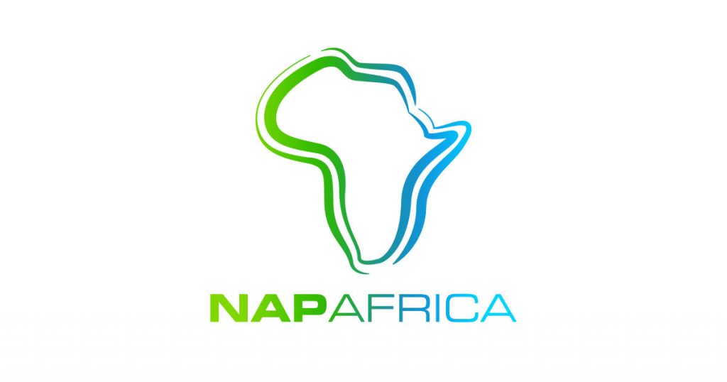 NAPAfrica Logo