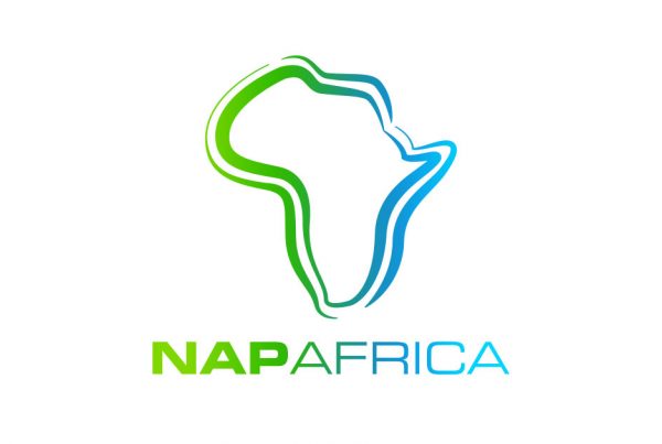 NAPAfrica Logo